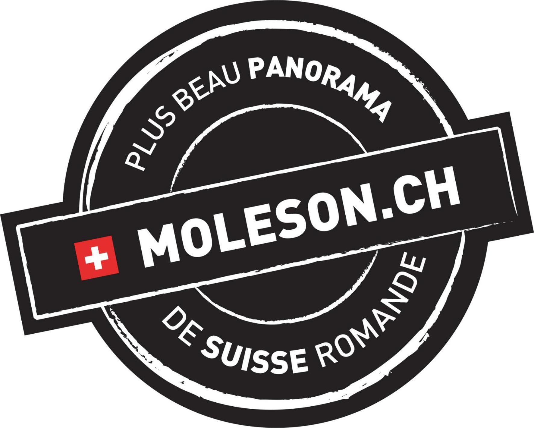 La Pierre à Catillon Moleson Esterno foto